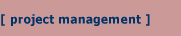 project management